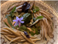 pasta with basil